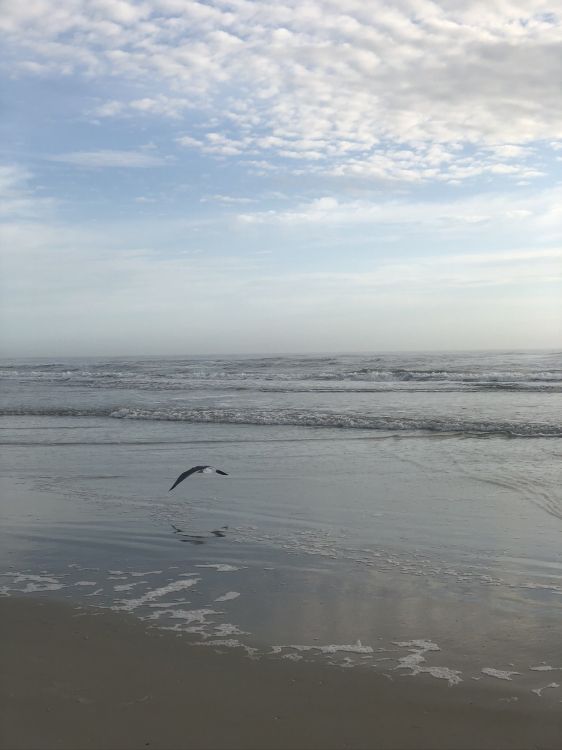 Обои мадфлэт, вода, прилив, водоем, жидкость в разрешении 1536x2048