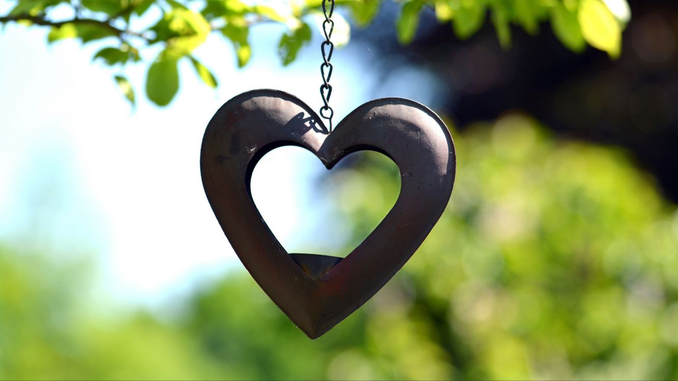Обои сердце, любовь, кулон, ювелирные изделия, лист в разрешении 3840x2160