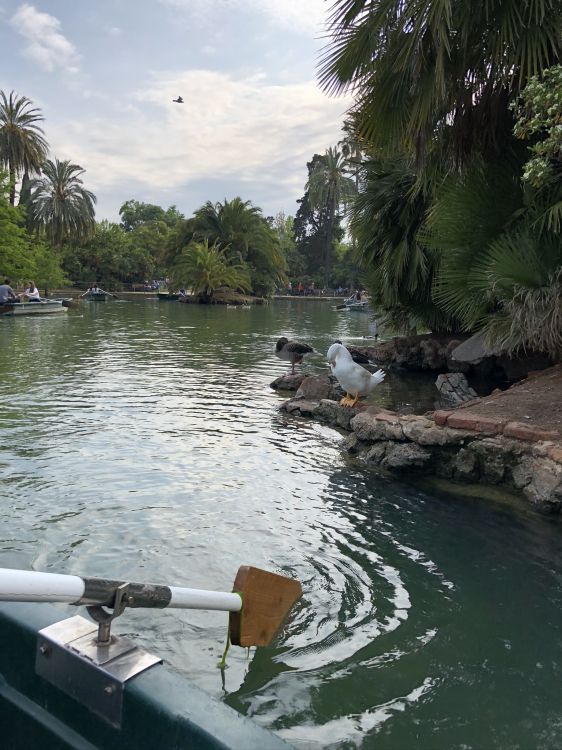 Обои реки, водный путь, гидроресурсы, вода, водоток в разрешении 1536x2048