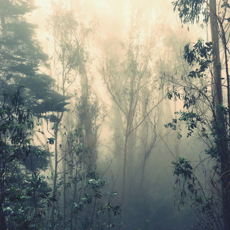 Обои Nokia, смартфон, 6 7 дюймов, нокиа с01 плюс 4g, nokia c30 ta-1359ds 3 64 ГБ белый в разрешении 1760x1760