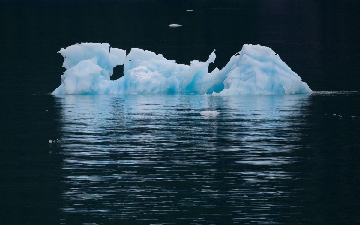 Обои айсберг, Северный Ледовитый океан, полярные льды, лед, морской лед в разрешении 2560x1600