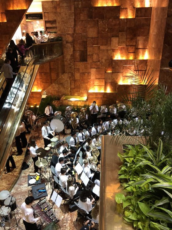 Обои ресторан, освещение, комнатное растение в разрешении 1536x2048