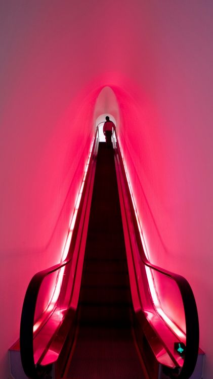 Обои Огни магазина Барби в Шанхае, Барби, Барби Шанхай, сланцевая архитектура, Маттел в разрешении 1080x1920