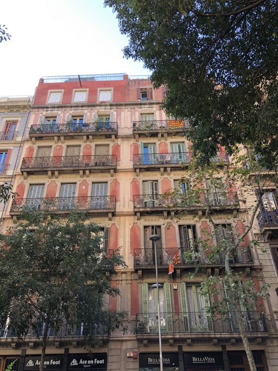 Обои жилой район, фасад, соседство, квартира, здание в разрешении 1536x2048