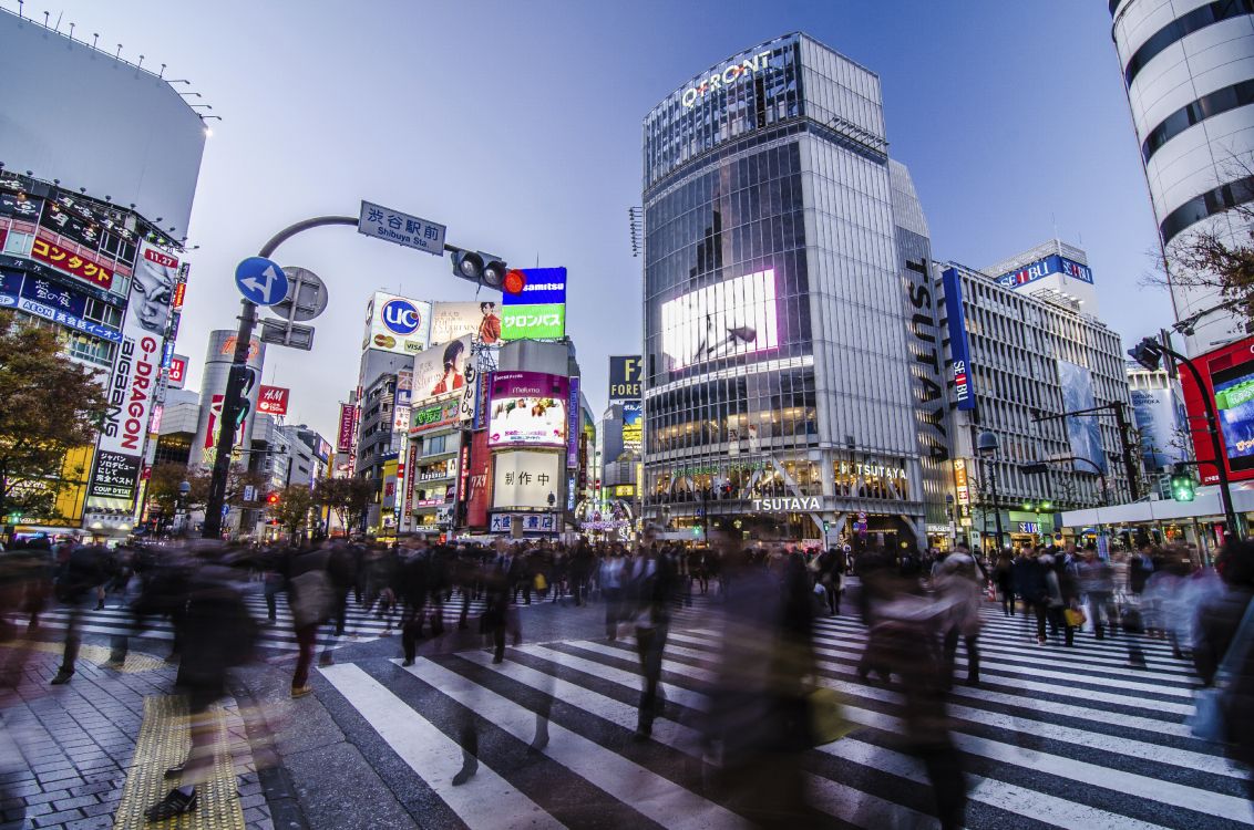 Обои город, метрополия, городской район, здание, деловой район в разрешении 2725x1804