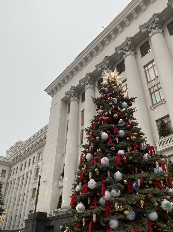 Обои елка, Рождественский день, дерево, Рождественские украшения, пихта в разрешении 1536x2048