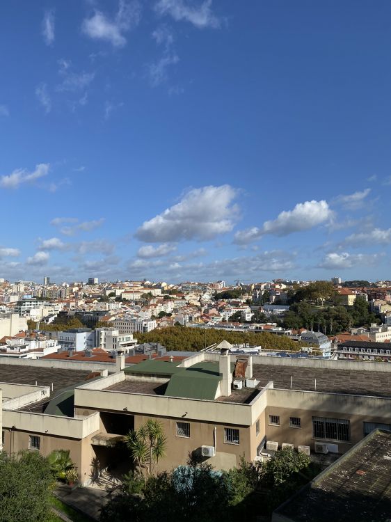 Обои недвижимость, дневное время, жилой район, облако, соседство в разрешении 1536x2048