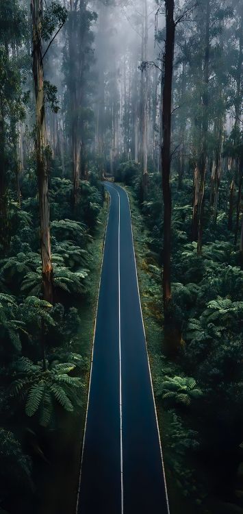 Обои природа, красавица, портрет, ветвь, дорога в разрешении 1420x3000