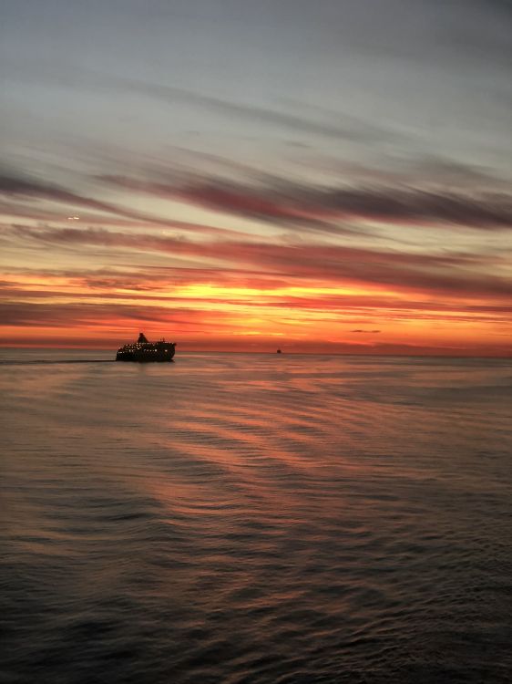 Обои горизонт, вода, закат, водоем, солнце в разрешении 1536x2048