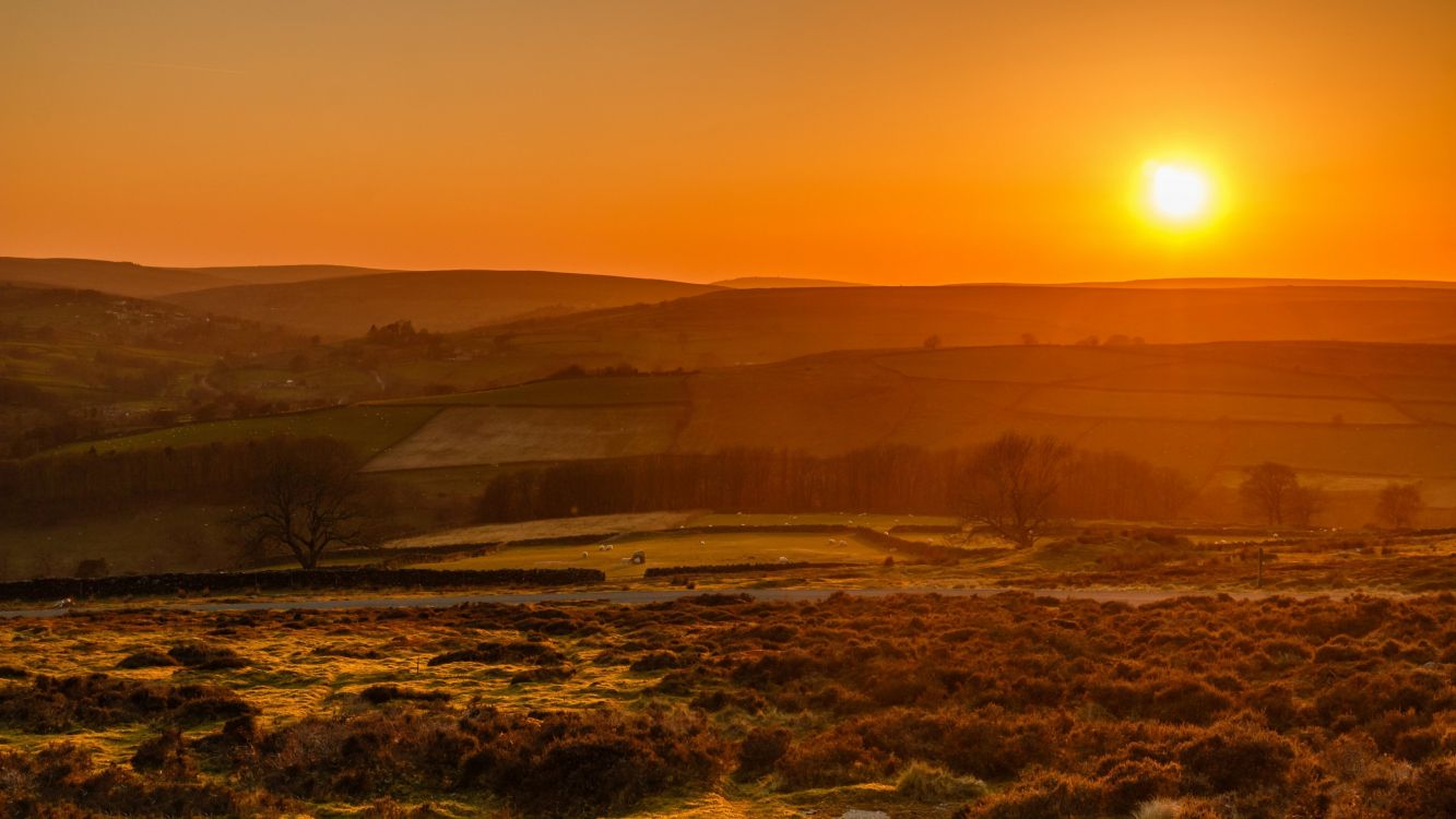 Обои природа, растение, атмосфера, растительное сообщество, послесвечение в разрешении 3200x1800