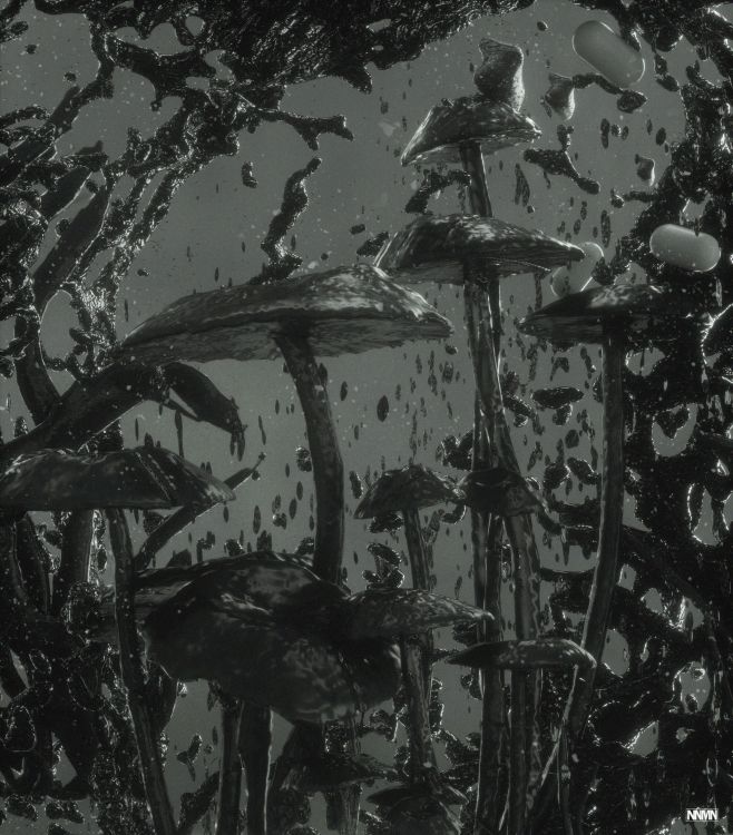 Обои черный, монохромный, вода, дерево, растение в разрешении 1920x2187