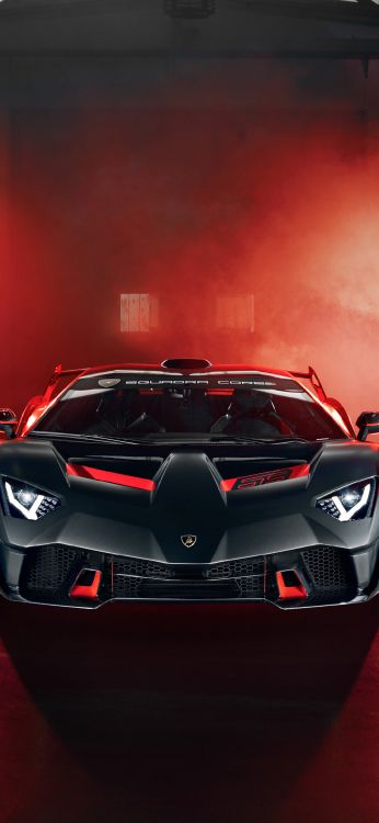 Обои lamborghini veneno, Ламборгини авентадор, Ламборджини, легковые автомобили, спорткар в разрешении 1080x2340