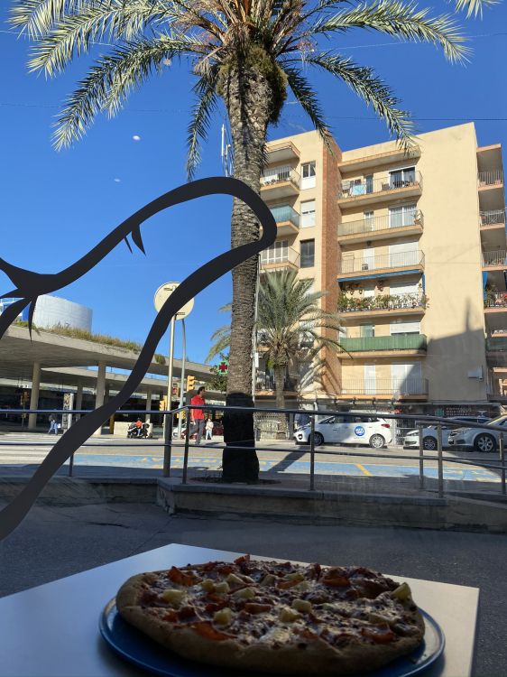 Обои пальмовые рощи, наука, биология, пицца, Кулинария в разрешении 1536x2048