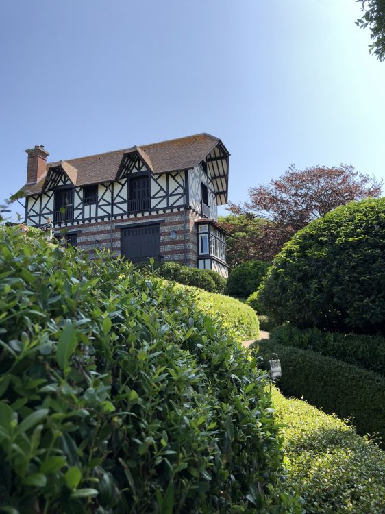 Обои Хаус, растительность, свойство, хедж, сад в разрешении 1536x2048