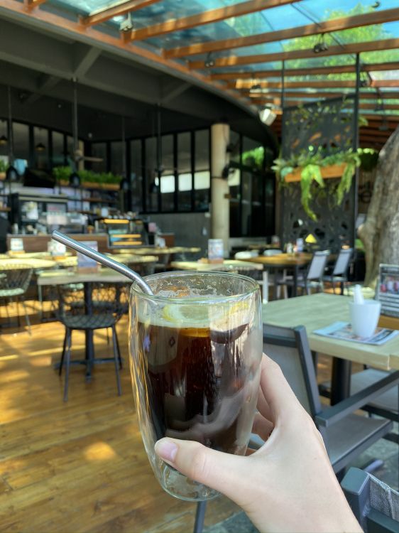 Обои напиток, бокал для вина, вино, кофейня, стекло в разрешении 1536x2048