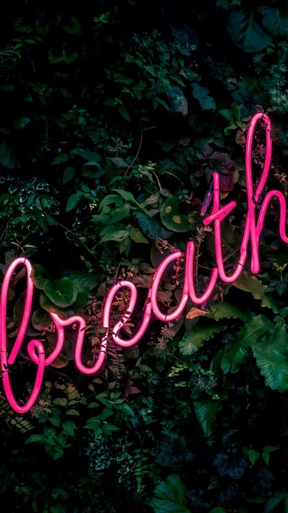 Обои бар жизни, растение, зеленый, лист, растительность в разрешении 1080x1920