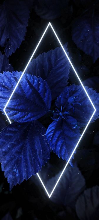 Обои свет, синий, пурпур, мир, полутона и оттенки в разрешении 1080x2400