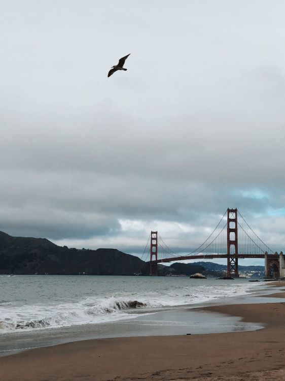 Обои мост Golden Gate, побережье, море, мост, пляж в разрешении 2474x3299