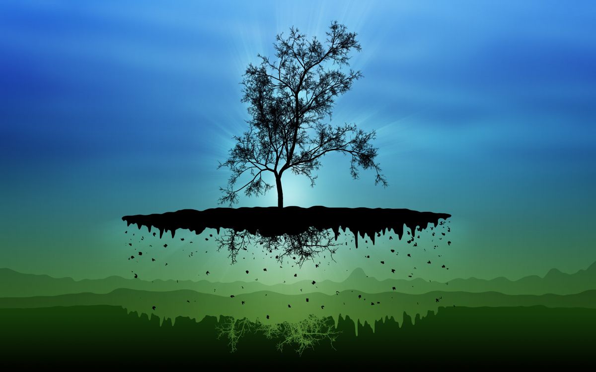 Обои природа, дерево, зеленый, вода, спокойный в разрешении 2560x1600