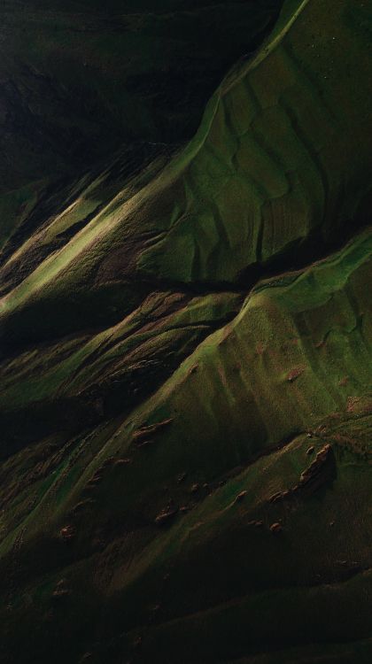 Обои вода, древесина, коричневый цвет, наземное растение, пейзаж в разрешении 3061x5464