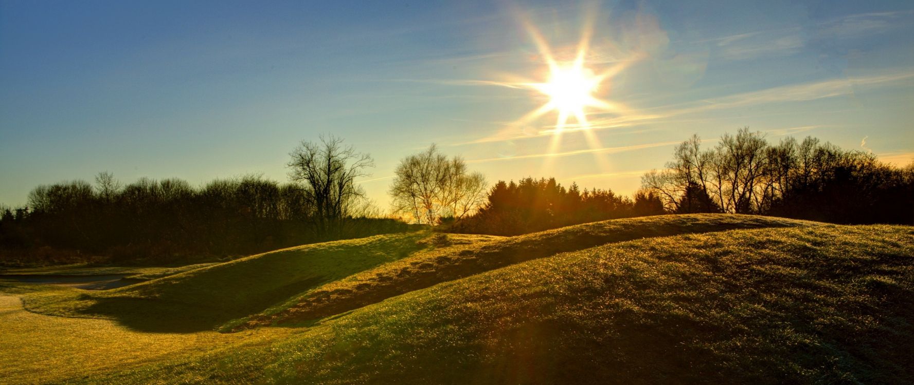 Обои природа, солнечный свет, свет, утро, дерево в разрешении 2560x1080