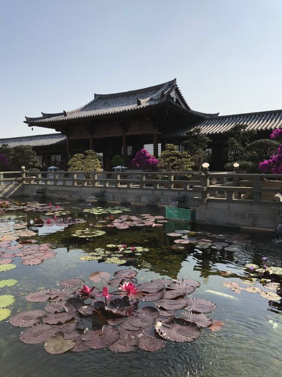 Обои китайская архитектура, туризм, вода, достопримечательность, водоем в разрешении 1536x2048