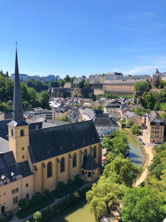 Обои грунд, Hibernian FC, окно, соседство, дерево в разрешении 3024x4032