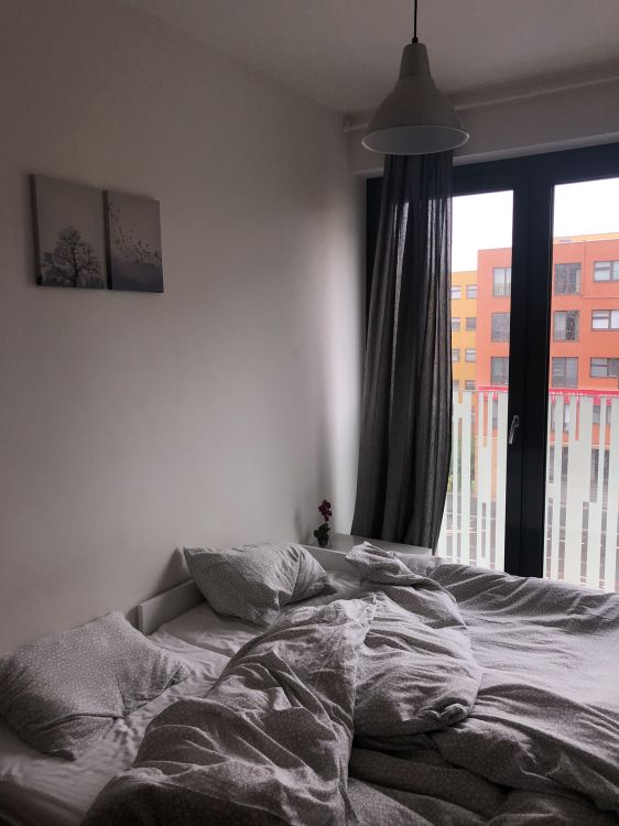 Обои спальня, занавес, каркас кровати, окно, дверь в разрешении 1536x2048