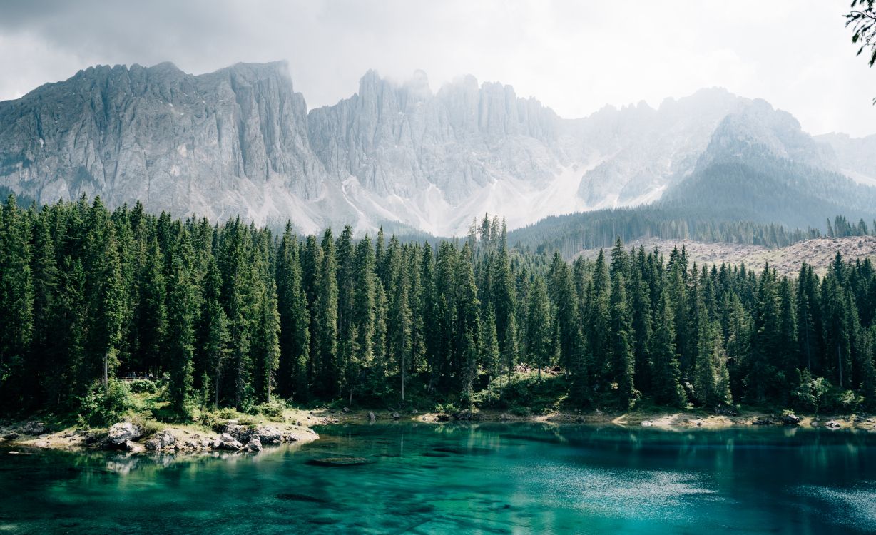 Обои Карерзее, Хвойные, пейзажи гор, ледниковое озеро, природа в разрешении 5489x3350