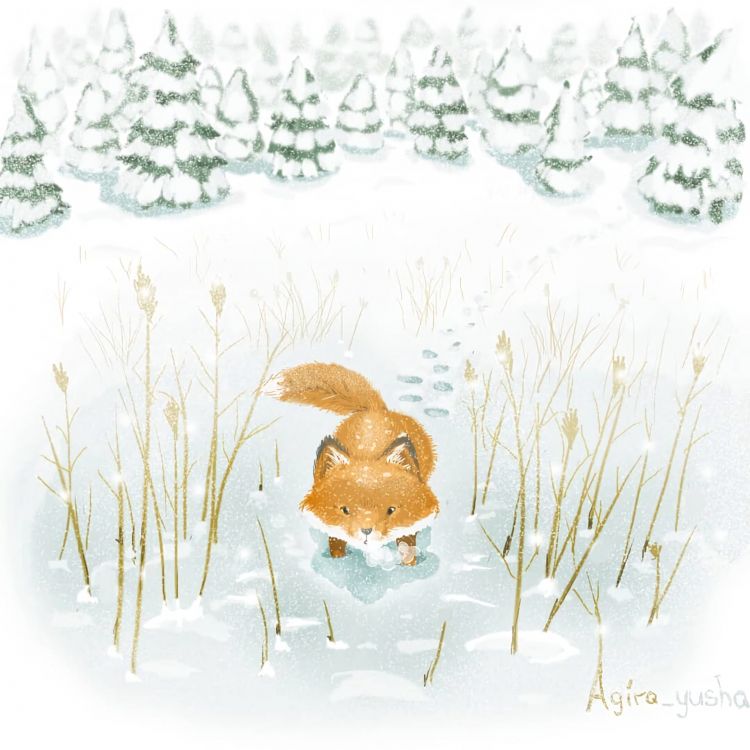 Обои заяц, краска, лиса, акварельная живопись, рыжая лисица в разрешении 2160x2160