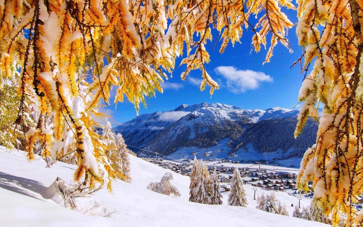 Обои снег, зима, природа, дерево, гора в разрешении 2560x1600