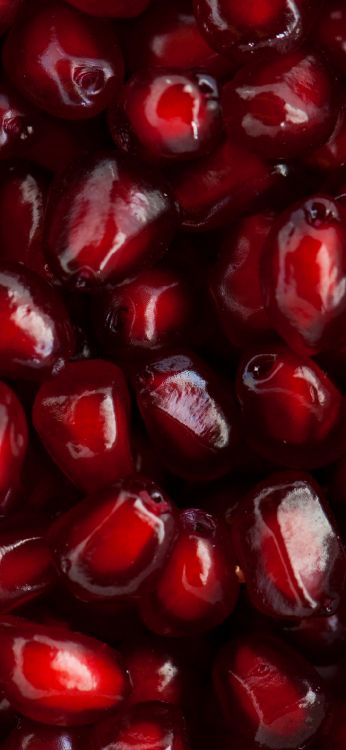 Обои ресторан китайского дворца, щит мужчина парикмахеры, пища, растение, ингредиент в разрешении 1080x2340