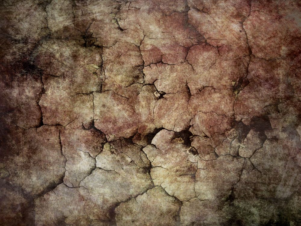 Обои древесина, дерево, почва, фильм, формирование в разрешении 2592x1944