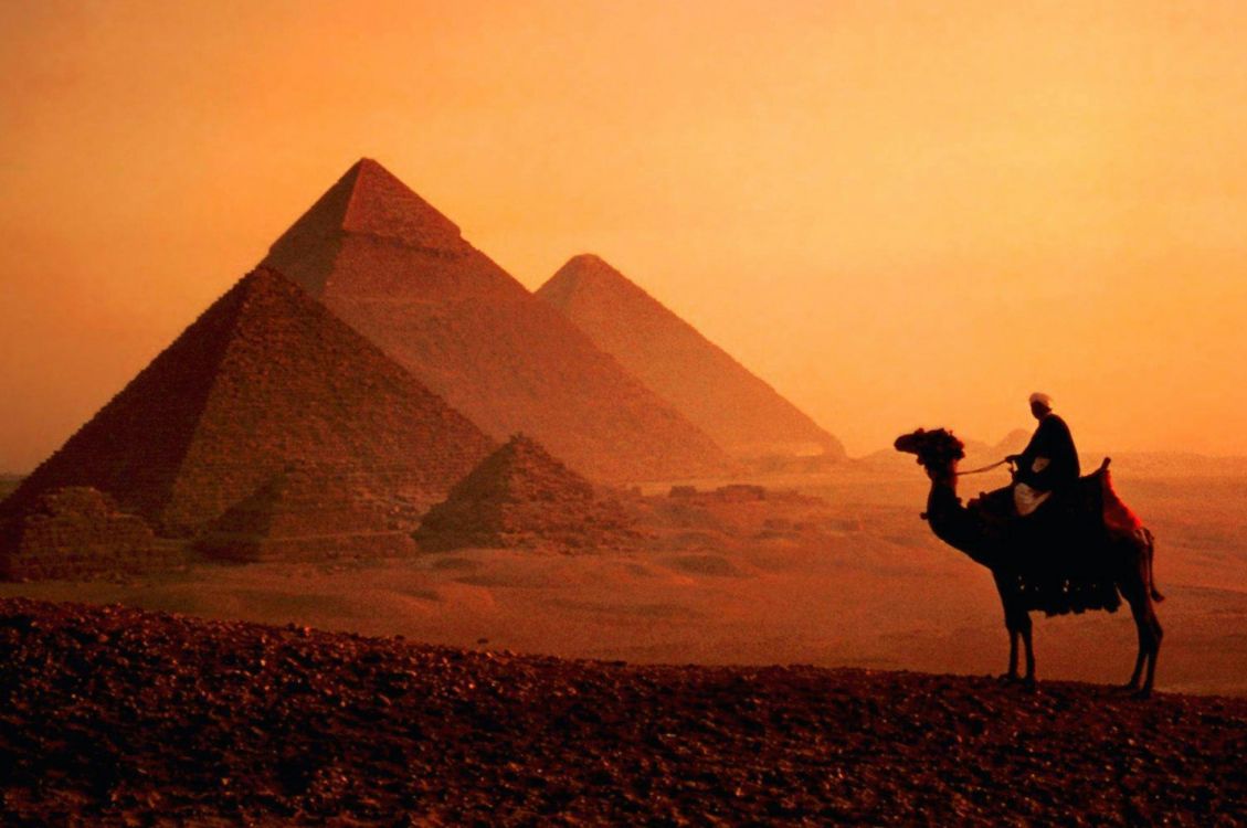 Обои Каир, Нил, пирамида, верблюд, арабский верблюд в разрешении 2560x1700