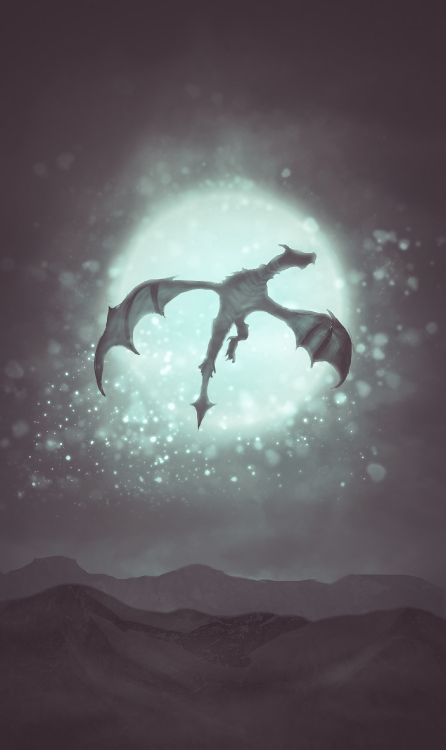 Обои дракон, иллюстрация, скачок, арт, фантастическое искусство в разрешении 1600x2686