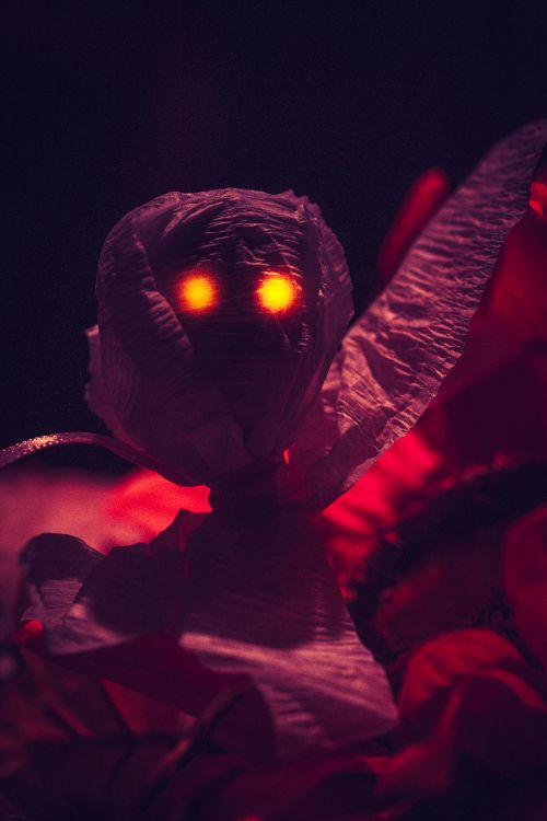 Обои красный цвет, пурпур, свет, Фиолетовый, темнота в разрешении 3648x5472