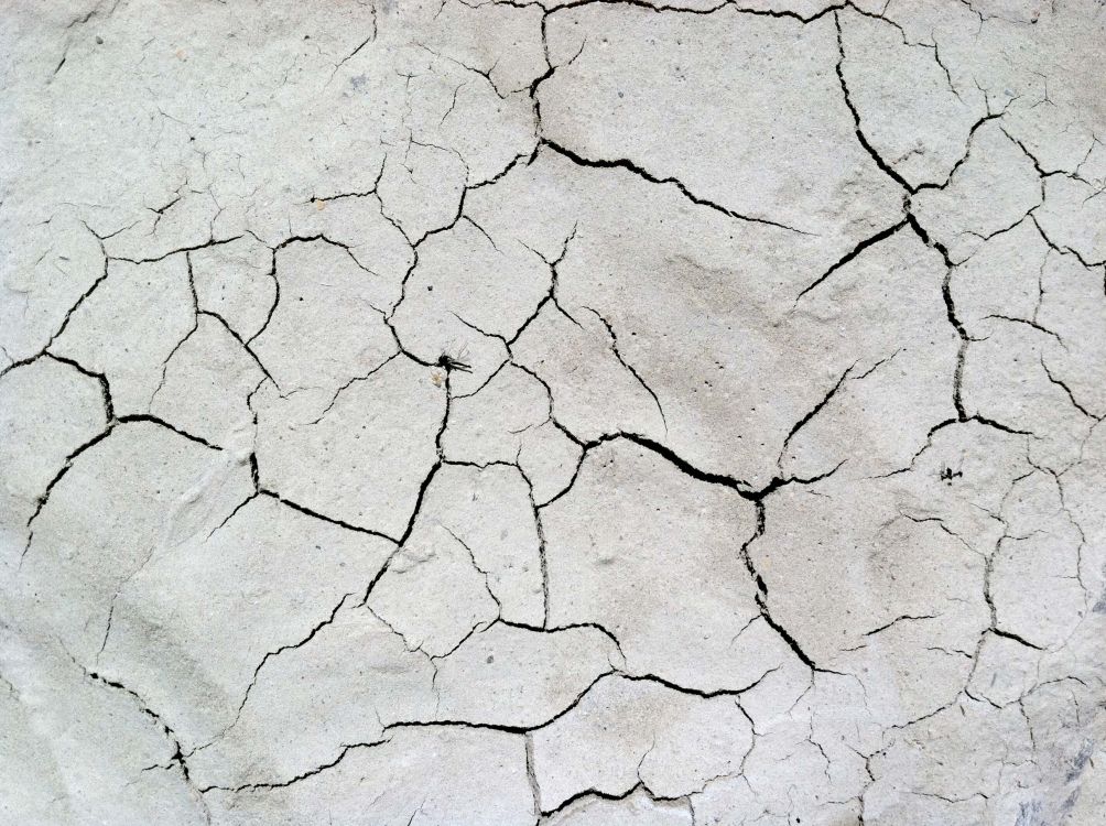 Обои засуха, векторная графика, почва, иллюстрации, черный и белый в разрешении 2592x1936