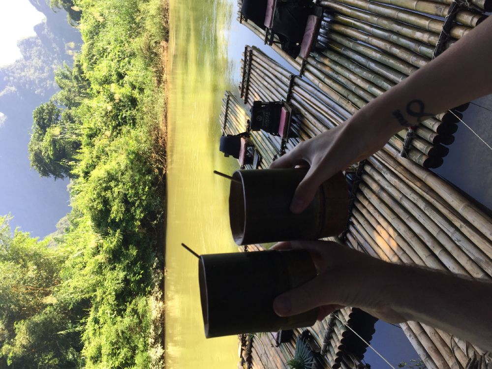 Обои дерево, солнечный свет, ноги в разрешении 3264x2448