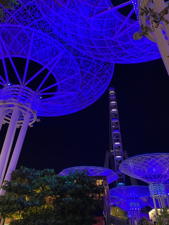 Обои Сингапур, ориентир, мажорель синий, синий, ночь в разрешении 1536x2048