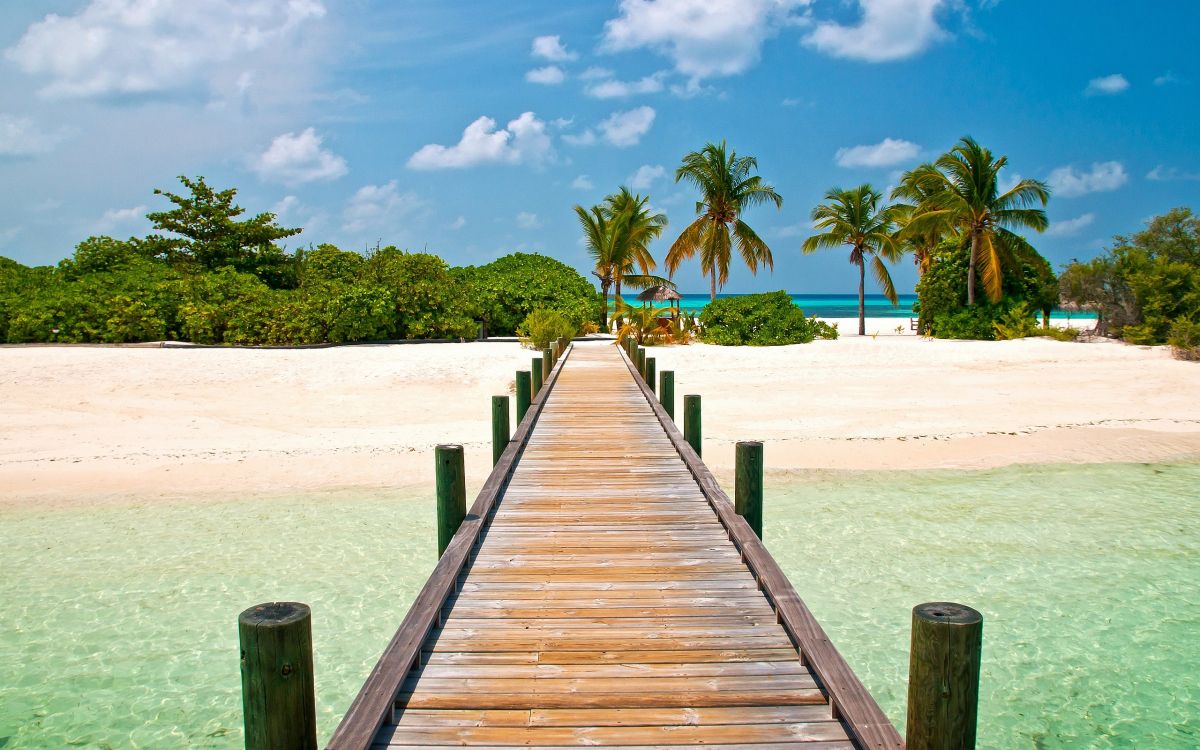 Обои пляж пирс, пляж, море, тропическая зона, дерево в разрешении 2560x1600