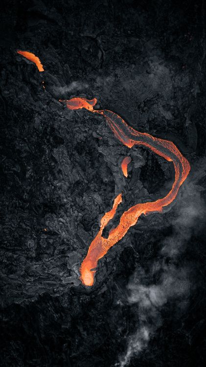 Обои Оранжевый цвет, он же афк, спотифай, Looney Tunes Риддим Билл Гейтс, дизер в разрешении 2475x4400