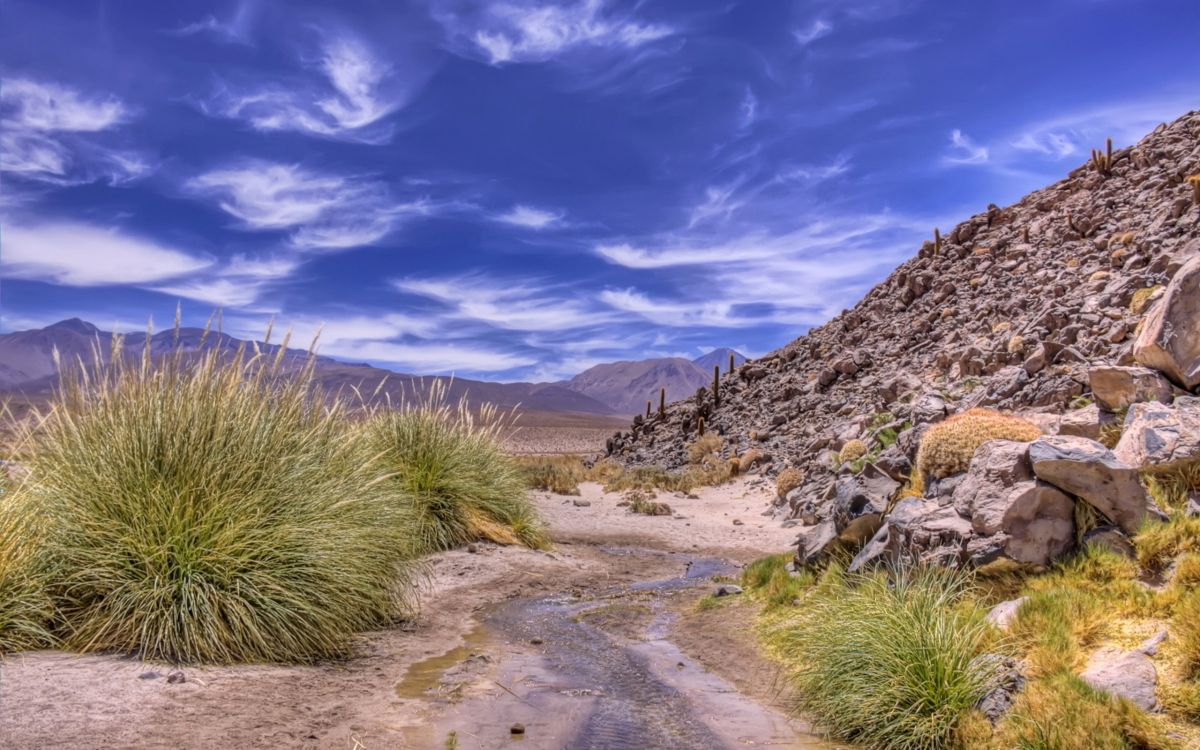 Обои пустыня, дикая местность, облако, гора, растительность в разрешении 2560x1600