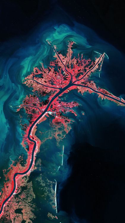 Обои дельта реки Миссисипи, земля, река Миссисипи, вода, растение в разрешении 750x1334