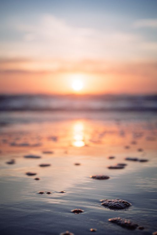 Обои закат, восход солнца, горизонт, море, океан в разрешении 3263x4894