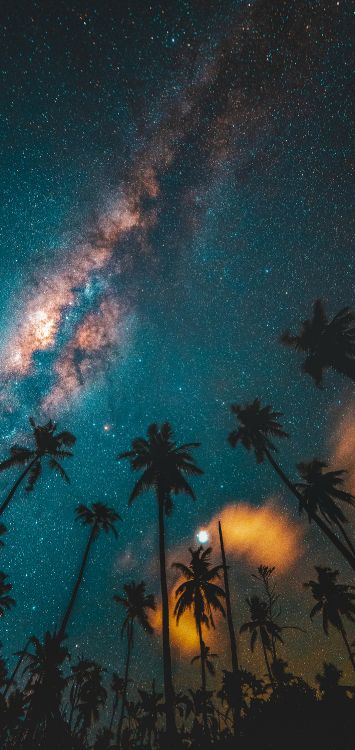 Обои небо полное звезд, Рэйчел Филип, группа Coldplay, сеум деро, ночь в разрешении 1420x3000