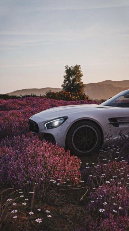 Обои легковые автомобили, шина, колесо, растение, цветок в разрешении 750x1334