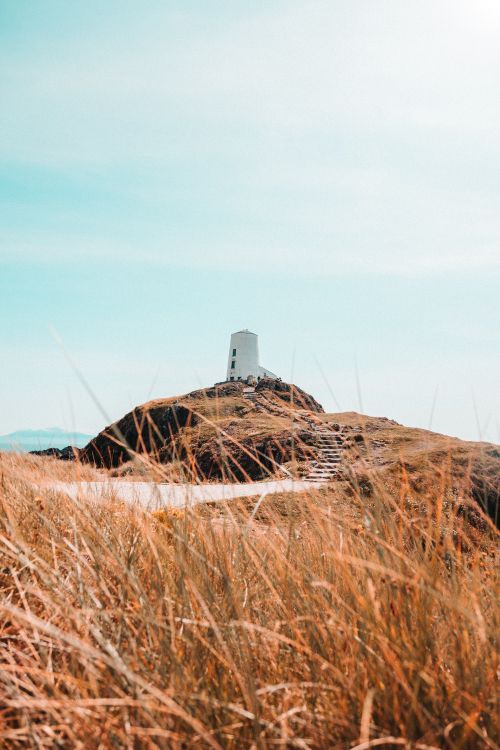 Обои семейство травы, поле, сено, солома, растение в разрешении 4480x6720