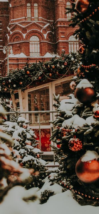 Обои государственный исторический музей, Соединенные Штаты, английский язык, окно, растение в разрешении 1080x2340