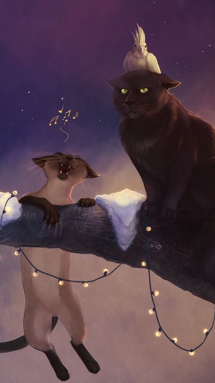 Обои кот, черная кошка, Шляпа ведьмы, мультфильм, головной убор в разрешении 720x1280