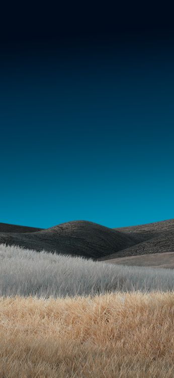 Обои сенокосное угодье, трава, степ, облако, лазурный в разрешении 1284x2778